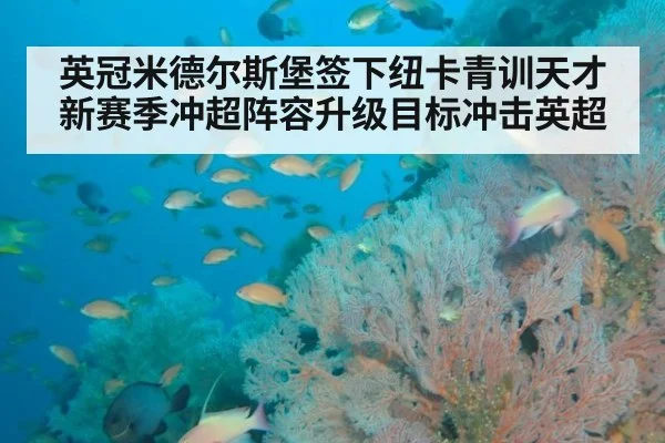 英冠米德尔斯堡签下纽卡青训天才新赛季冲超阵容升级目标冲击英超